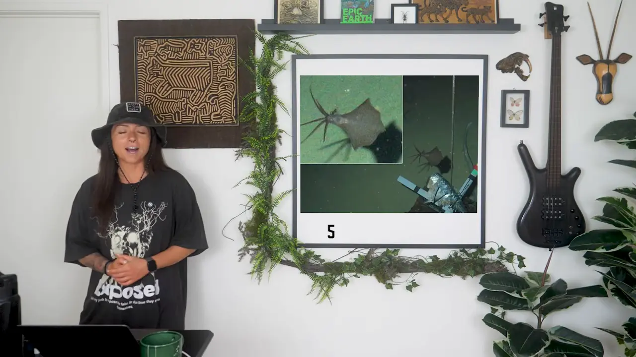 The Most Mysterious Squid (That We Know Of) | Lindsay Nikole