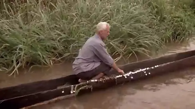 16 Fish That Amazed Jeremy Wade In The Congo | River Monsters