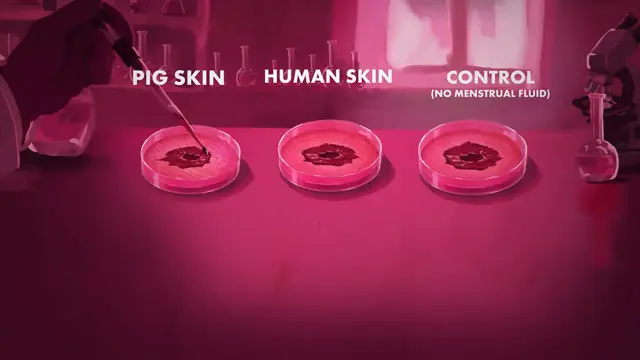 Science Can't Ignore It Anymore