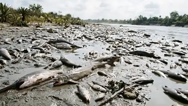 The Entire Dinosaur Extinction Explained (Minute by Minute)
