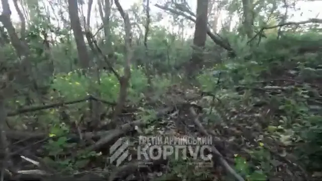Ukraine Broke the Rules and Won