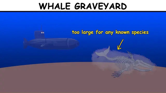 Every Horrifying Place In The Ocean