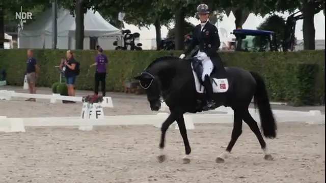 Ware Pferd: Macht das Geld den Reitsport kaputt? | Sportclub Story | NDR Doku
