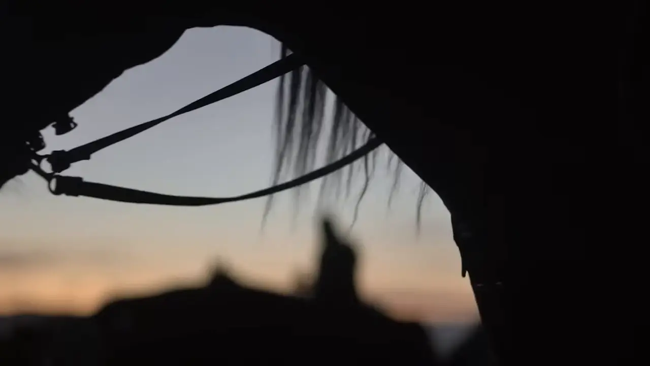 The Real Wild West: A History of The American Frontier | Documentary