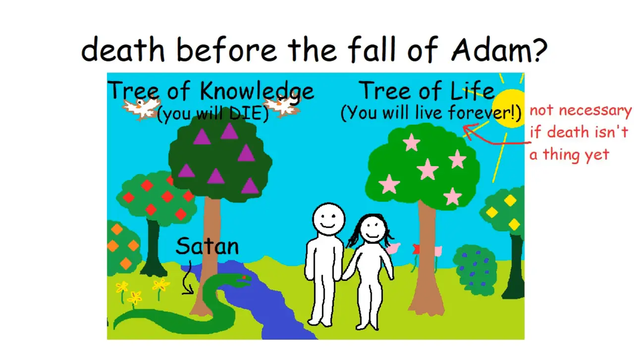 Evolution does NOT contradict the Bible