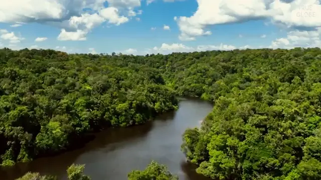 UNSEEN AMAZON: Inside the World’s Most Dangerous Rainforest | 4K Travel Documentary