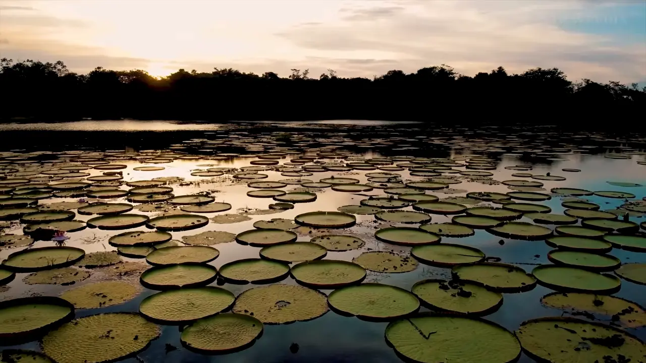 UNREAL AMAZON – Nature’s Most Dangerous Paradise (Full Documentary)
