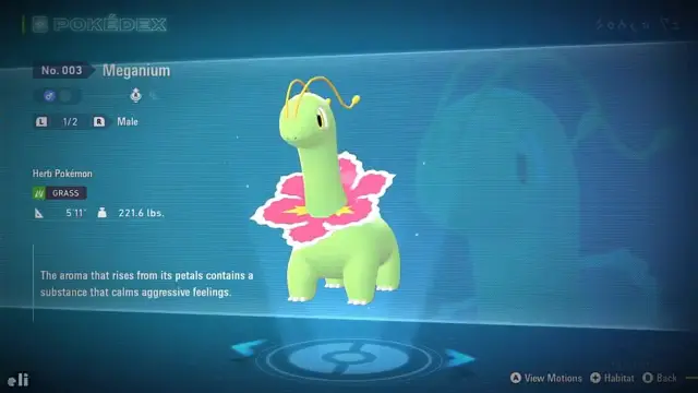Which Grass Starter Pokémon Is Best in Its Region?