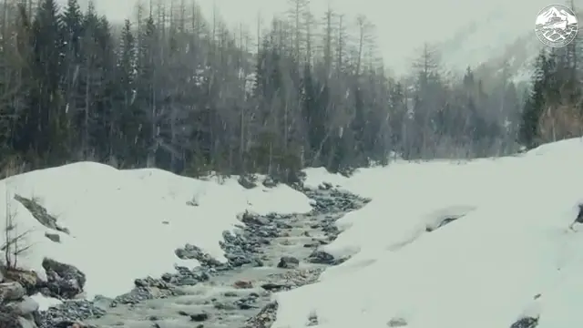 SIBERIA WILD WINTER | What Happens When the Taiga Disappears Under Snow? | Full Documentary