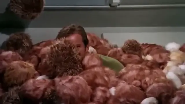 Star Trek (1966): 15 Weird Facts You Didn't Know