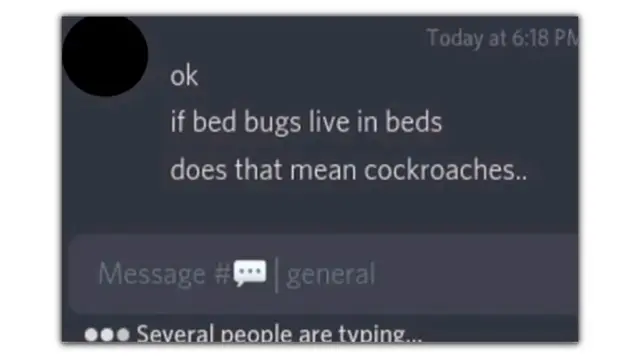 Bug Memes
