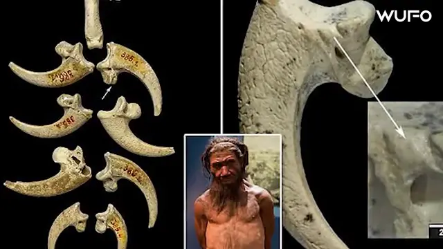 Neanderthals: The Strongest Humanity That Ever Existed! | Prehistoric Humans Documentary