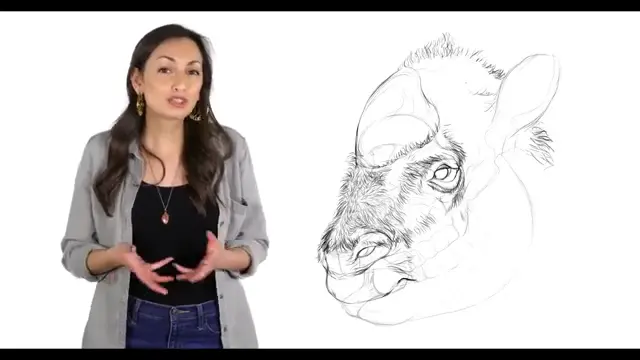 What Happened to the Giant Predators After the Dinosaurs?