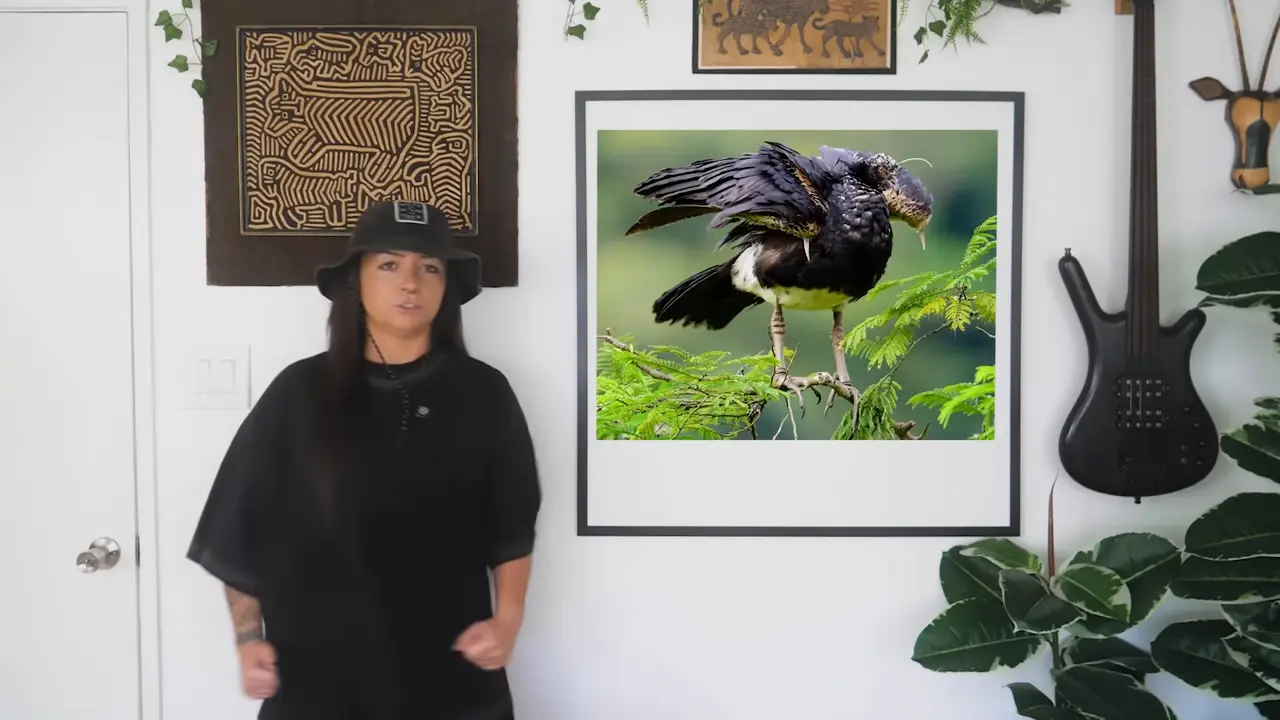 Why I Still Have A Problem With Birds